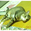 옥산1지구 이미지