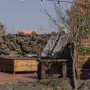 제주집 두모공 이미지