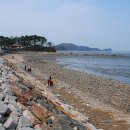 대부해솔길 1코스 이미지