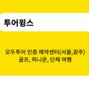 윙스투어 주식회사