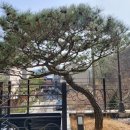 수원시 영통구 네이버블로그