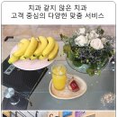 진주예치과의원 이미지