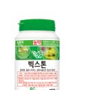 빅스톤