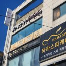 M&M Dog | 대형견 호텔, 유치원 내돈내산 만족후기! _ 호텔 비용, 2박 3일 후기 _ 전주애견호텔, 애견유치원...