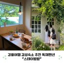 밤밤 | 강릉여행 감성숙소 추천 독채펜션 스테이밤밤 후기