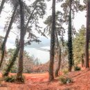 하나로회관 이미지