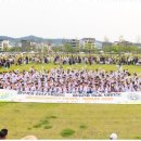 용인대 화산 태권도장 이미지