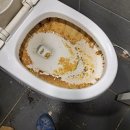 유림-1157 이미지