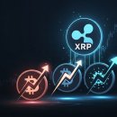 (주)알레아 이미지