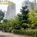 넝쿨공인중개사사무소 이미지