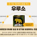 슈바이쯔 이미지