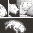 하나이비인후과 이미지