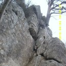 노송축사 이미지