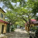 자연과우리펜션야영장 이미지