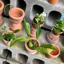 양재우성 이미지