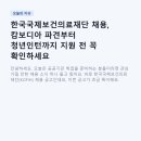 의료법인정익의료재단 | 한국국제보건의료재단 채용, 캄보디아 파견부터 청년인턴까지 지원 전 꼭 확인하세요