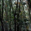 수당농장 이미지