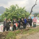 단성면사무소 이미지