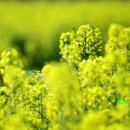 영산강둔치체육공원 이미지