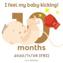 치치일기 4편) 임신후기~만삭일기 코로나시대에 만삭임산부는...
