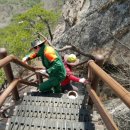 백두정비 이미지