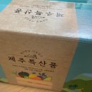 도향 이미지