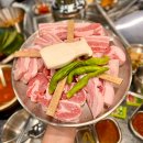 식껍원종점 이미지