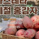 소소농장 이미지