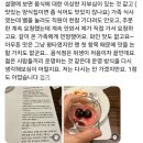 리에또식당 | 사당) 오래된 가성비 파스타집 리에또 🍝 노협찬