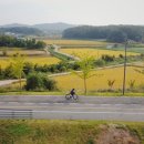 🚴 국토종주: 3일차, 여주시청 ~ 수안보 온천