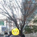 종로맥시스템 이미지