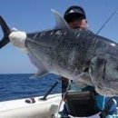 조부장바다낚시터 이미지