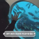 태화강맞이 종합편의점 | 제주 이색데이트 코스 우도 잠수함 조조할인 탑승 후기