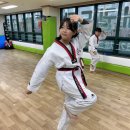 한국체대 신일태권도장 이미지