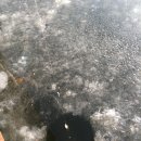 양오낚시터 이미지