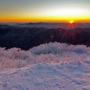 아름다운삶 이미지