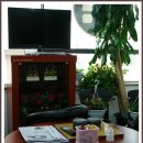 허리케인당구클럽 이미지