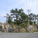 기장바다장어구이 이미지