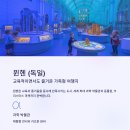 유럽아이처럼