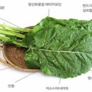 J퍼스널트레이닝 이미지