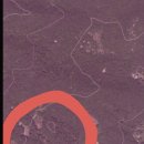 박영태농장 이미지