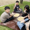 대양초등학교 이미지