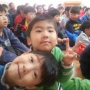 송광초등학교 병설유치원 이미지