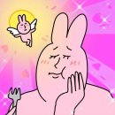 카페피드
