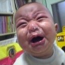 카피