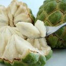 do u like custard apple? 이미지