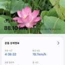 지에스(GS)25 신창미소점