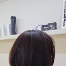 바이진영 이미지