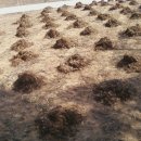 저거리농장 이미지