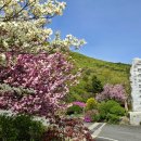 만수노인복지원 이미지